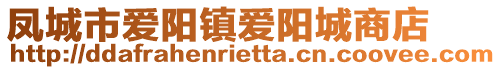 鳳城市愛陽鎮(zhèn)愛陽城商店