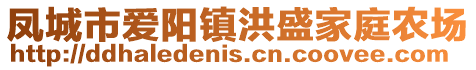 鳳城市愛陽鎮洪盛家庭農場