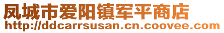 鳳城市愛陽鎮軍平商店