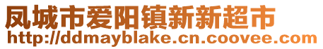 鳳城市愛陽鎮新新超市
