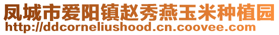 鳳城市愛(ài)陽(yáng)鎮(zhèn)趙秀燕玉米種植園