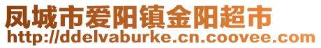 鳳城市愛陽鎮金陽超市