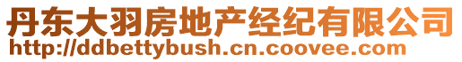 丹東大羽房地產(chǎn)經(jīng)紀有限公司