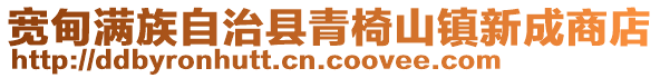 宽甸满族自治县青椅山镇新成商店