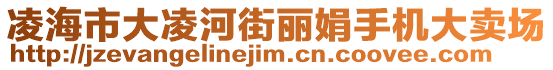 凌海市大凌河街麗娟手機(jī)大賣場(chǎng)