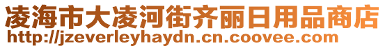 凌海市大凌河街齊麗日用品商店