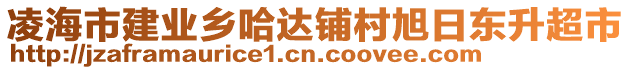 凌海市建業(yè)鄉(xiāng)哈達鋪村旭日東升超市