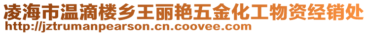 凌海市温滴楼乡王丽艳五金化工物资经销处