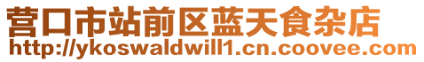 營(yíng)口市站前區(qū)藍(lán)天食雜店