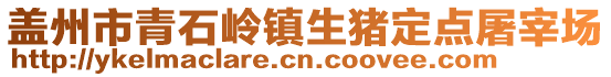 蓋州市青石嶺鎮(zhèn)生豬定點屠宰場