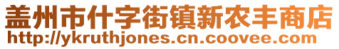 蓋州市什字街鎮(zhèn)新農(nóng)豐商店