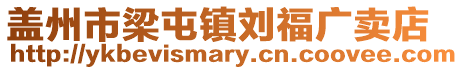 蓋州市梁屯鎮劉福廣賣店