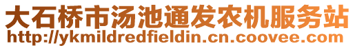 大石桥市汤池通发农机服务站