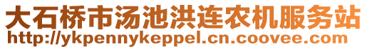 大石桥市汤池洪连农机服务站