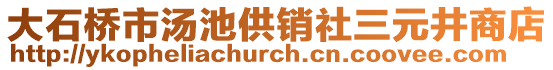 大石桥市汤池供销社三元井商店