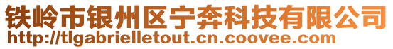 铁岭市银州区宁奔科技有限公司