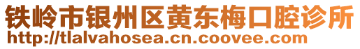 铁岭市银州区黄东梅口腔诊所