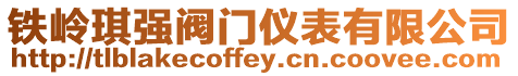 鐵嶺琪強(qiáng)閥門儀表有限公司