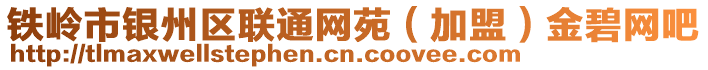 铁岭市银州区联通网苑（加盟）金碧网吧