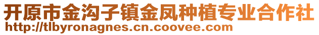 开原市金沟子镇金凤种植专业合作社