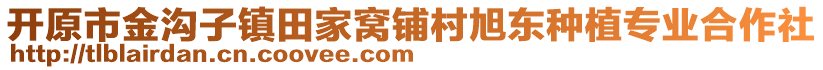 開原市金溝子鎮(zhèn)田家窩鋪村旭東種植專業(yè)合作社