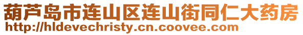 葫蘆島市連山區(qū)連山街同仁大藥房