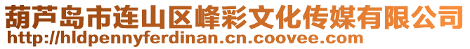 葫蘆島市連山區(qū)峰彩文化傳媒有限公司