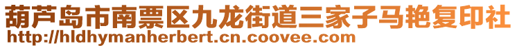 葫蘆島市南票區(qū)九龍街道三家子馬艷復(fù)印社