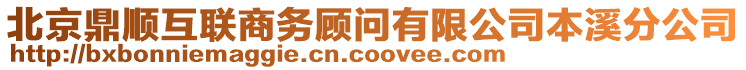 北京鼎顺互联商务顾问有限公司本溪分公司