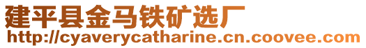 建平縣金馬鐵礦選廠