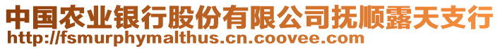 中國農(nóng)業(yè)銀行股份有限公司撫順露天支行