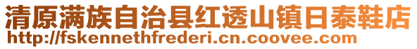 清原满族自治县红透山镇日泰鞋店