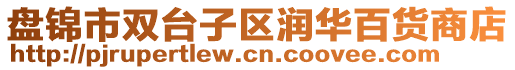 盘锦市双台子区润华百货商店