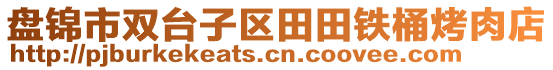盤錦市雙臺子區(qū)田田鐵桶烤肉店