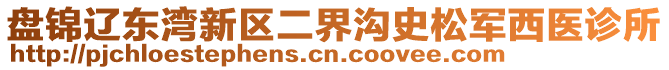 盘锦辽东湾新区二界沟史松军西医诊所