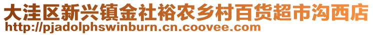 大洼区新兴镇金社裕农乡村百货超市沟西店