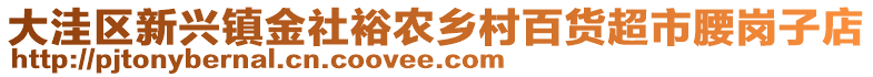 大洼区新兴镇金社裕农乡村百货超市腰岗子店