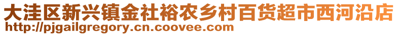 大洼区新兴镇金社裕农乡村百货超市西河沿店