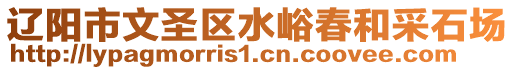 遼陽市文圣區(qū)水峪春和采石場