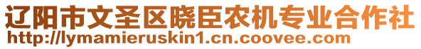 辽阳市文圣区晓臣农机专业合作社