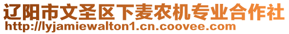 遼陽市文圣區(qū)下麥農(nóng)機(jī)專業(yè)合作社