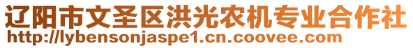 遼陽市文圣區(qū)洪光農(nóng)機專業(yè)合作社