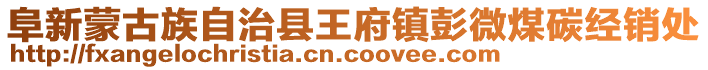 阜新蒙古族自治縣王府鎮(zhèn)彭微煤碳經(jīng)銷處