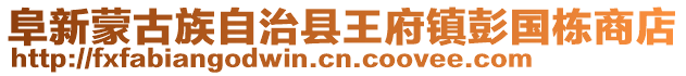 阜新蒙古族自治县王府镇彭国栋商店