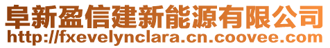 阜新盈信建新能源有限公司