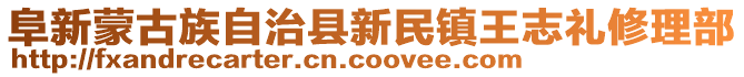 阜新蒙古族自治县新民镇王志礼修理部