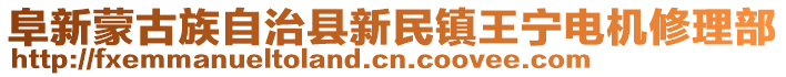 阜新蒙古族自治縣新民鎮(zhèn)王寧電機修理部