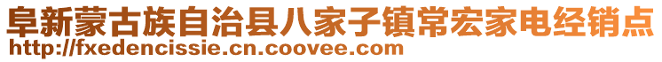 阜新蒙古族自治縣八家子鎮(zhèn)常宏家電經(jīng)銷點