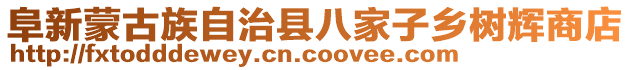 阜新蒙古族自治县八家子乡树辉商店