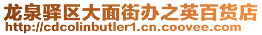 龍泉驛區大面街辦之英百貨店